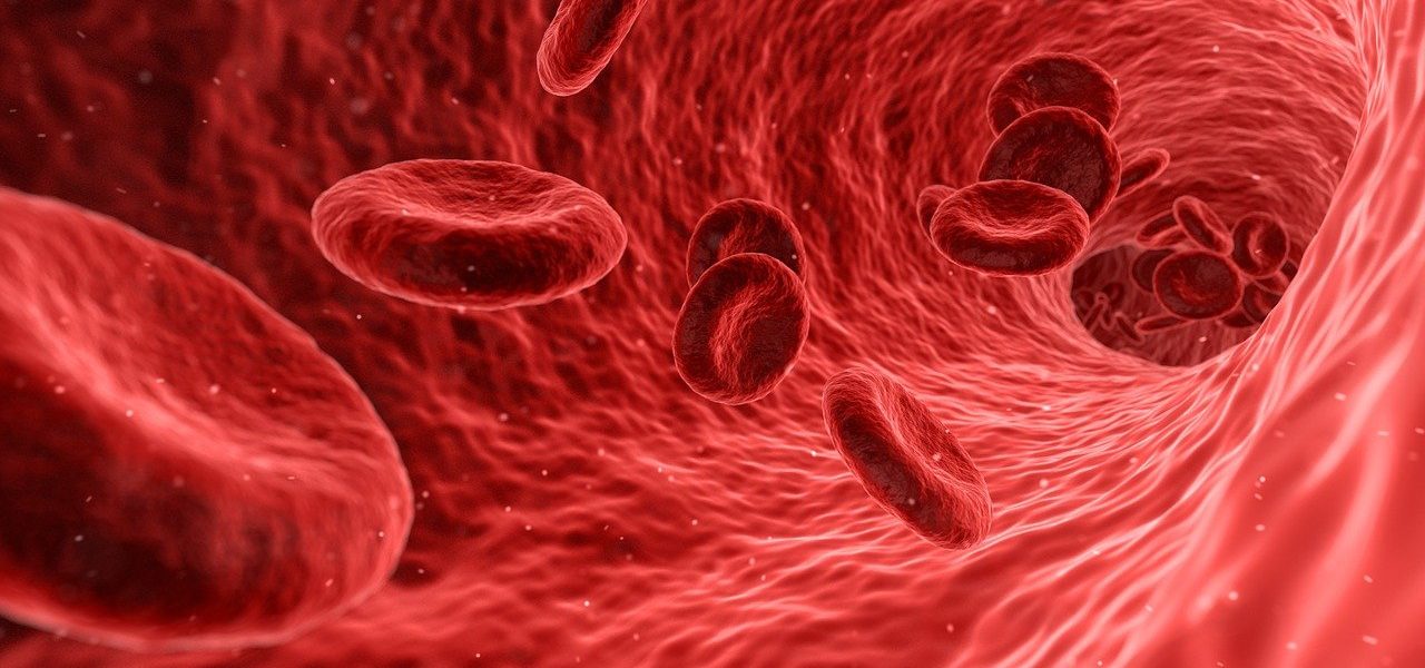 Rimedi Omeopatici per la Circolazione Sanguigna